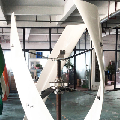 48 ভোল্ট সর্পিল বায়ু টারবাইন জেনারেটর 3000W 5000W অক্ষীয় বায়ু টারবাইন জেনারেটর