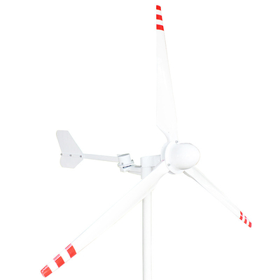 1000W 5000W অনুভূমিক অক্ষ বায়ু টারবাইন জেনারেটর 24V 48V 220V অনুভূমিক বায়ু জেনারেটর
