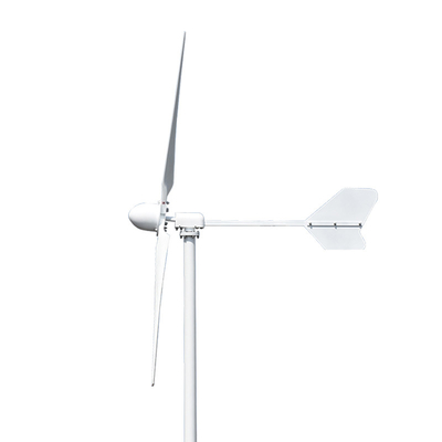 1000W 5000W অনুভূমিক অক্ষ বায়ু টারবাইন জেনারেটর 24V 48V 220V অনুভূমিক বায়ু জেনারেটর