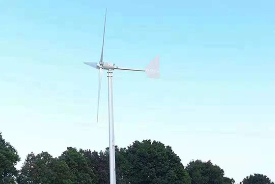 1KW 48V অনুভূমিক অক্ষ বায়ু টারবাইন জেনারেটর আবাসিক অনুভূমিক অক্ষ বায়ু বিদ্যুৎ কেন্দ্র